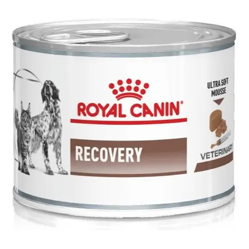 Alimento Royal Canin Gatos Medicado / Necesidades especiales Recovery (12*195gr) 2.34kg