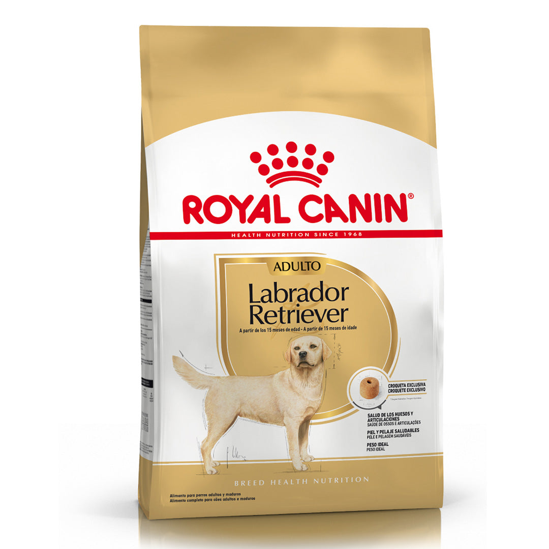 Alimento Royal Canin Perro Labrador Adulto – 12kg