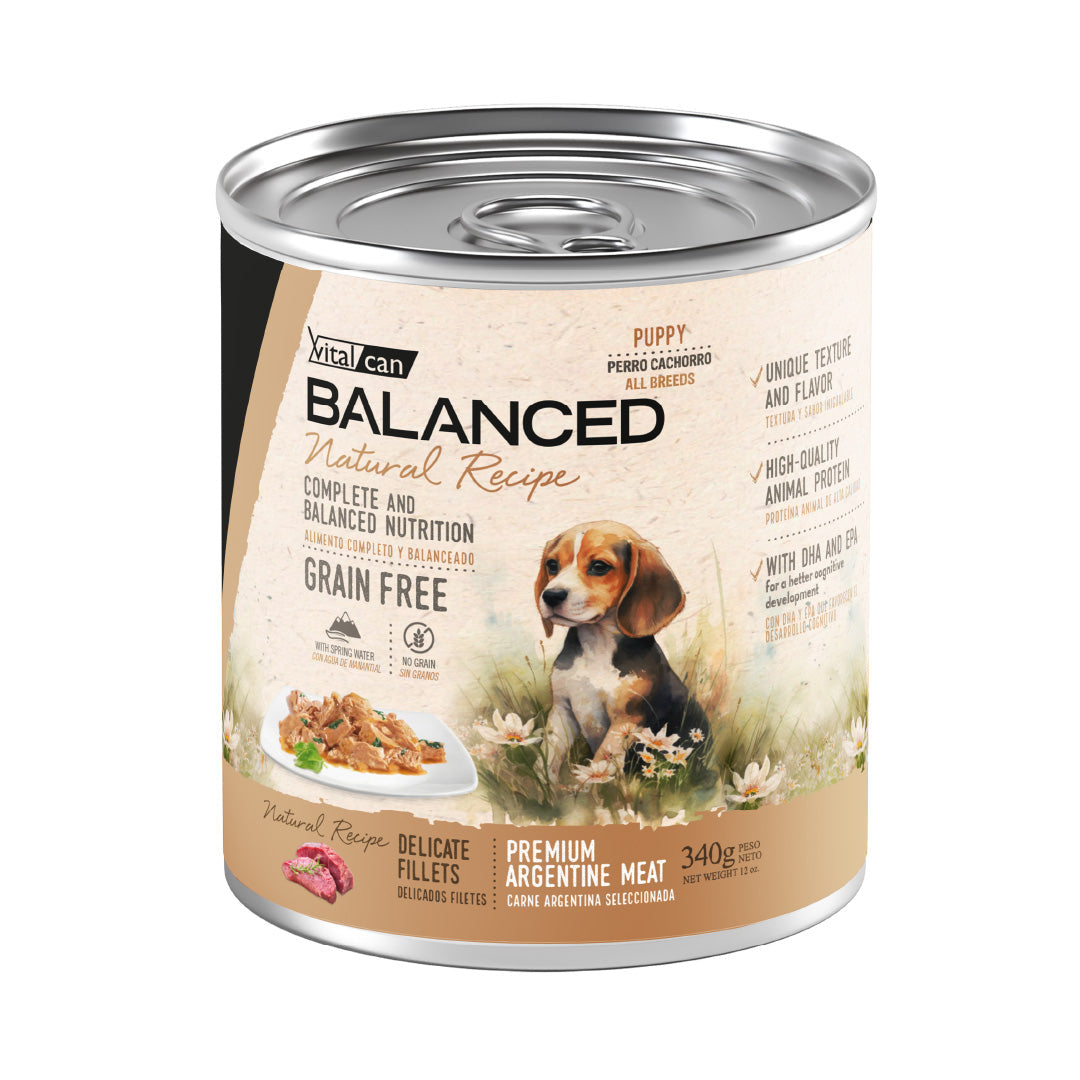 Lata Balanced Perro Cachorro Filetes Carne – 340gr