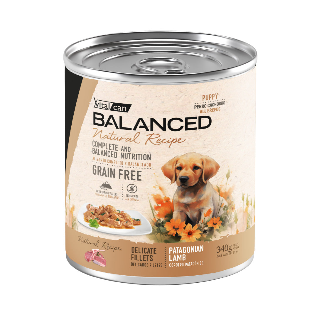Lata Balanced Perro Cachorro Filetes Cordero – 340gr